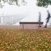 Hagnau, Herbst vor der Schiffslände