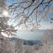 Sipplingen, Blick durch Winterwald auf Ort und See