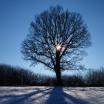 Wintersonne