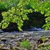Harz, Bode bei Thale