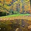 Sächsische Schweiz, Polenz im Herbst
