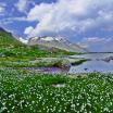 Schweiz, am Sustenpass