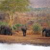Südafrika Wasserloch im Krüger Nationalpark