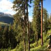 Schweiz Mountainbiker im Engadin