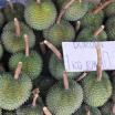 Malaysia Obstmarkt Durianfrüchte
